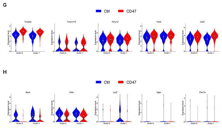 /crm/product/image/20250930/1759196612452095363.png 1759196612452095363.png